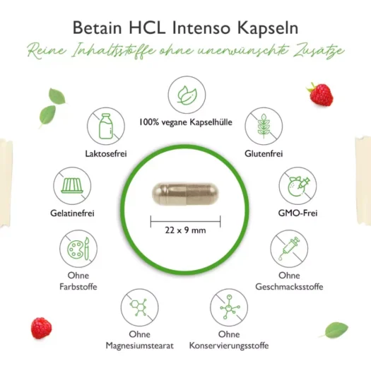 Vit4ever <br>Betaine HCL - 240 cápsulas - Image 3