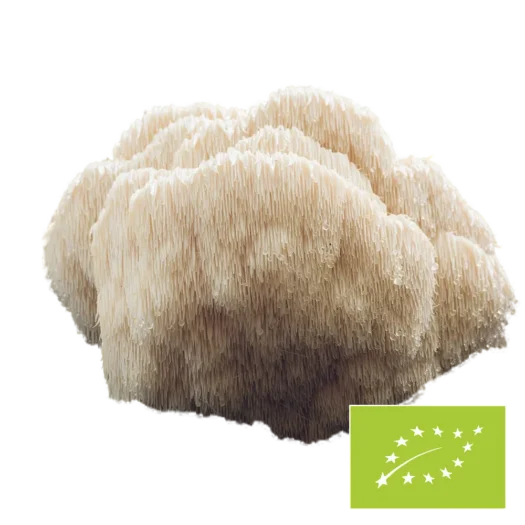 Natura Med <br>Polvere di funghi Hericium biologici - 100 g