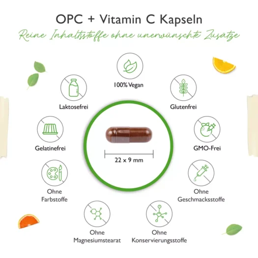 Vit4ever <br>OPC + Vitamin C - 240 Kapseln - Afbeelding 3