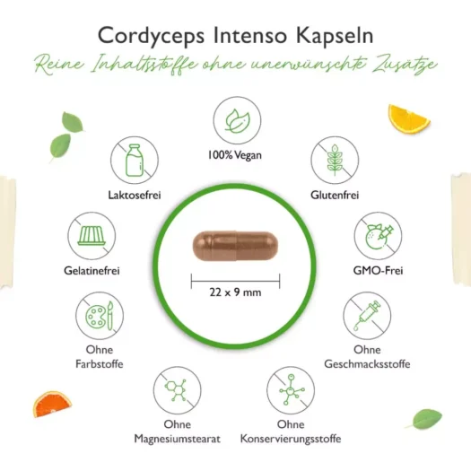 Vit4ever <br>Cordyceps Intenso Extrakt - 180 Kapseln - Imagen 3