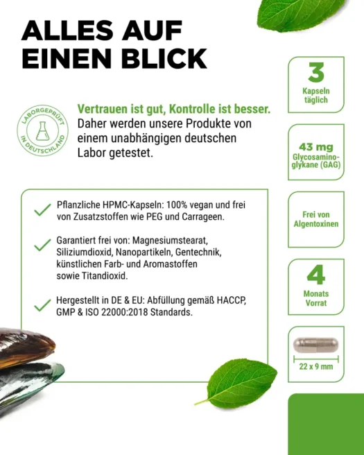 Vit4ever <br>Grünlippmuschel - 365 Kapseln – Bild 5