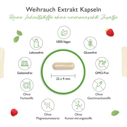 Vit4ever <br>Wierookextract - verschillende hoeveelheden (Kopie) - Afbeelding 2