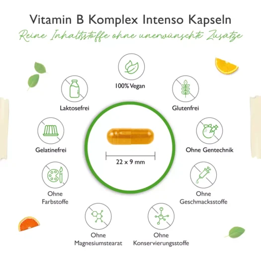 Vit4ever <br>Vitamin B Komplex Intenso - 240 Kapseln – Bild 4