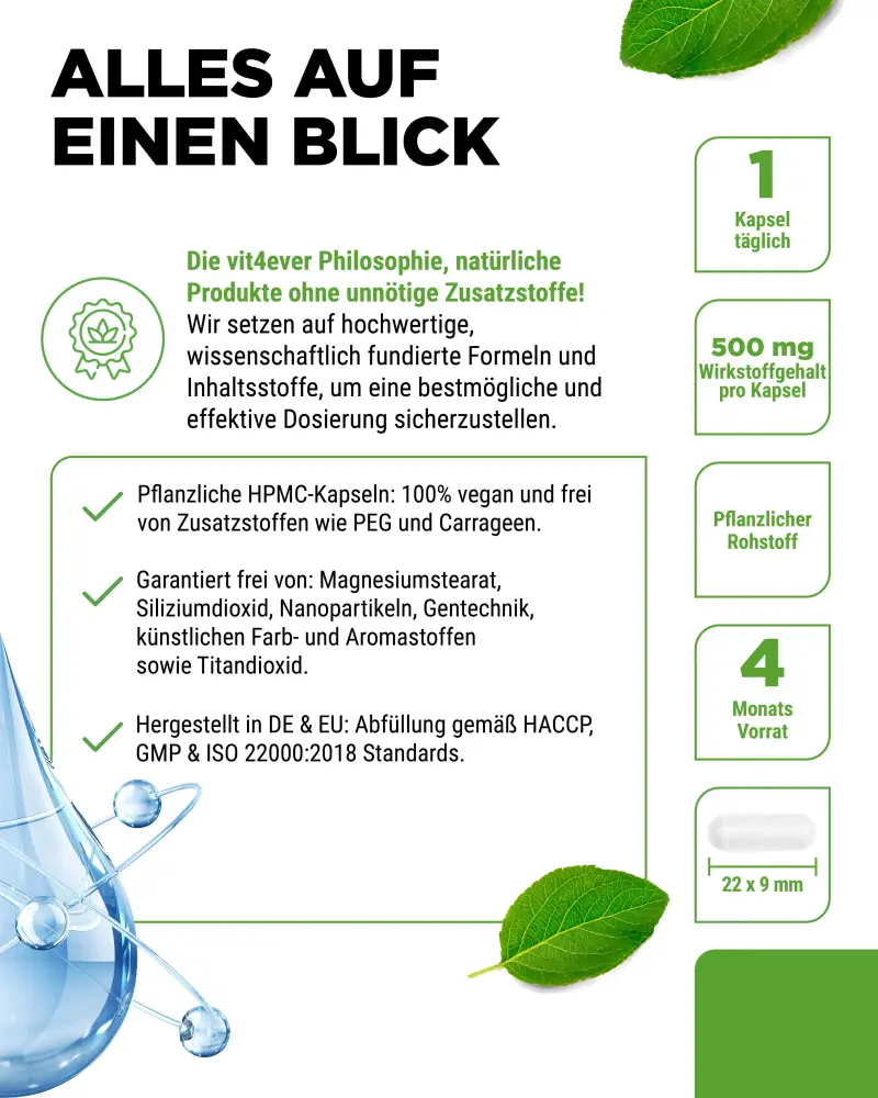 Vit4ever Ácido hialurónico – 120 cápsulas – información del producto