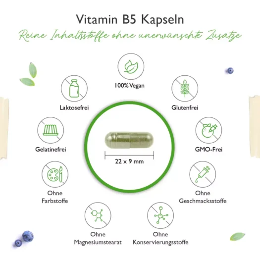 Vit4ever <br>Vitamin B5 - 180 Kapseln - immagine 3