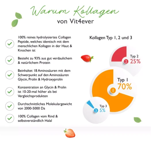 Vit4ever <br>Kollagen - 500 g - Image 4