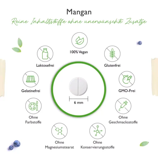 Vit4ever <br>Mangan - 365 Tabletten - Image 3