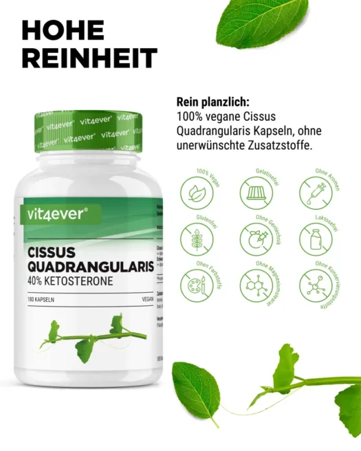 Vit4ever <br>Cissus Quadrangularis Extrakt - 180 Kapseln - Image 4