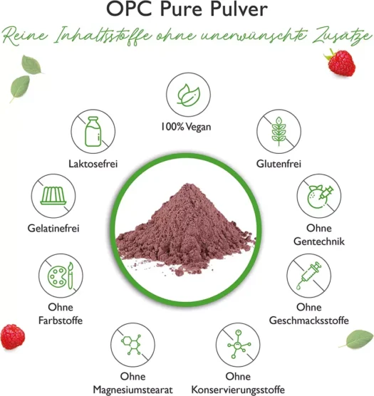 Vit4ever <br>OPC Traubenkernextrakt - 250 g - Afbeelding 4