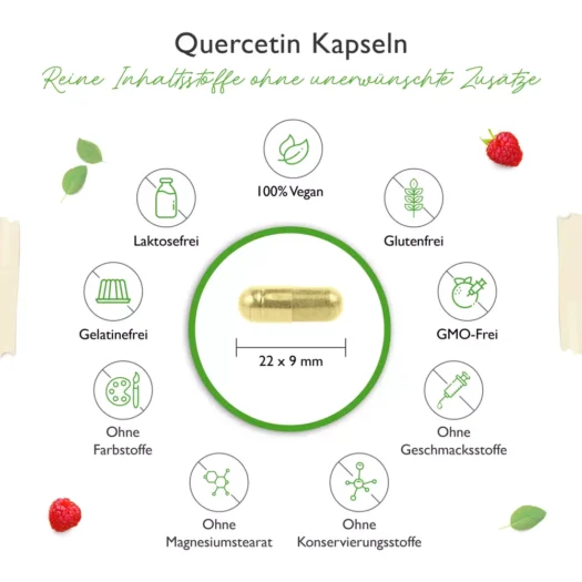 Vit4ever <br>Quercetin - 120 Kapseln - Image 3