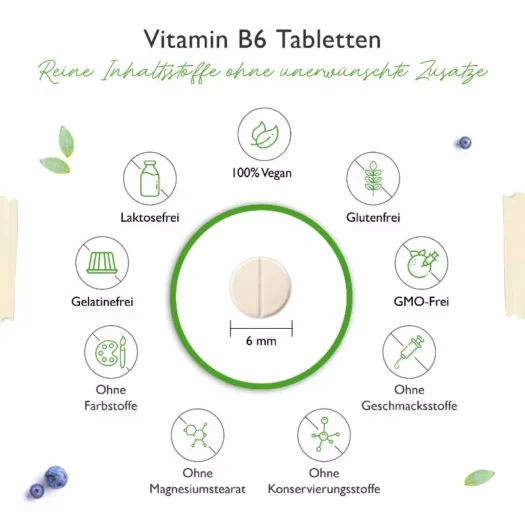 Vit4ever <br>Vitamin B6 - 240 Tabletten - Imagen 3