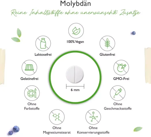 Vit4ever <br>Molybdän - 365 Tabletten - Imagen 3