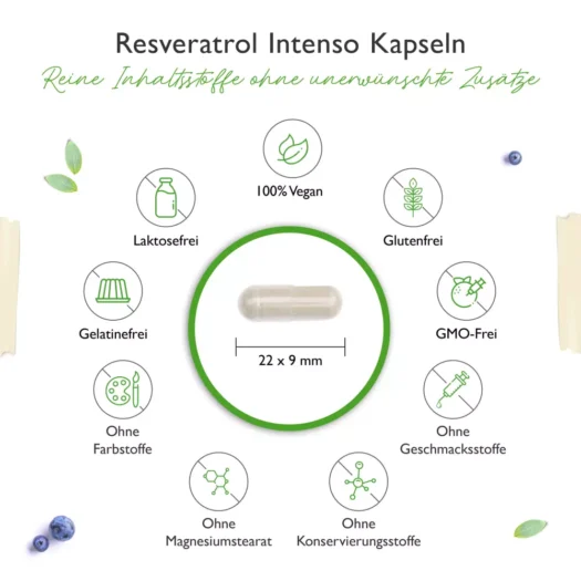 Vit4ever <br>Resveratrol - 60 Kapseln - Afbeelding 3