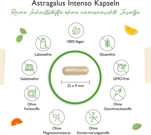 Vit4ever <br>Astragalus Intenso - 180 Kapseln - Image 3