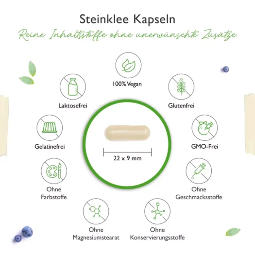 Vit4ever <br>Steinklee - 240 Kapseln - Afbeelding 3