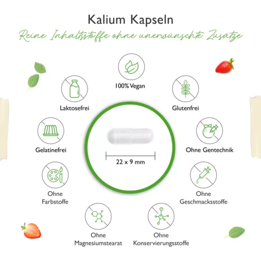 Vit4ever <br>Kalium - 240 Kapseln – Image 3