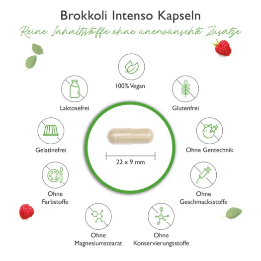 Vit4ever <br>Brokkoli Intenso Extrakt - 180 Kapseln - Afbeelding 3