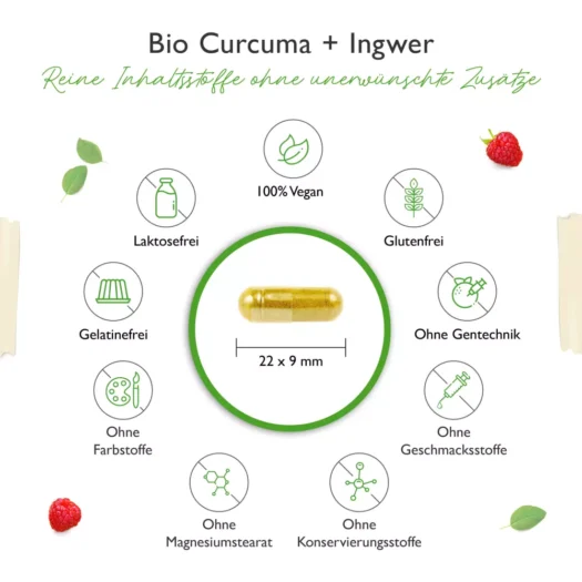 Vit4ever <br>Bio Curcuma + Bio Ingwer - 240 Kapseln - Imagen 4