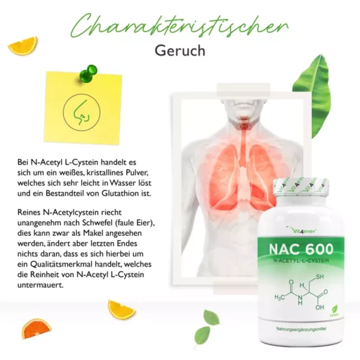 Vit4ever <br>NAC 800 - N-acetil L-cisteína - 240 cápsulas - Image 2
