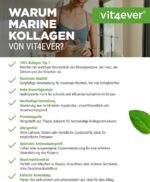 Vit4ever Marine Kollagen (Fisch) – 500 g