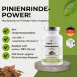 alphavitalis Pinienrinden Extrakt (OPC) – 240 Kapseln - Produktinformation 2