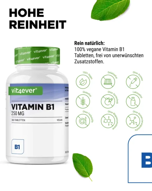 Vit4ever <br>Vitamin B1 - 365 Tabletten - Imagen 4