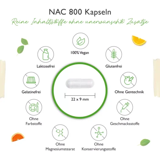 Vit4ever <br>NAC - N-Acetil L-Cisteína 180 cápsulas - diferentes variantes - Imagen 4
