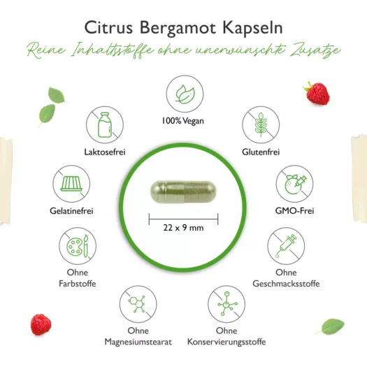 Vit4ever <br>Ashwagandha biologica - 365 capsule (Kopie) - immagine 3