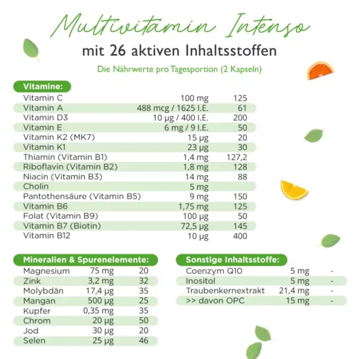 Vit4ever <br>Multivitamin Intenso - 365 Kapseln – Bild 2