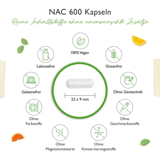Vit4ever <br>NAC 800 - N-acetil L-cisteína - 240 cápsulas - Imagen 5