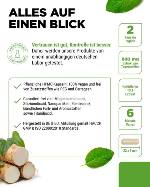 Vit4ever <br>Wild Yam - 365 Kapseln – Bild 5