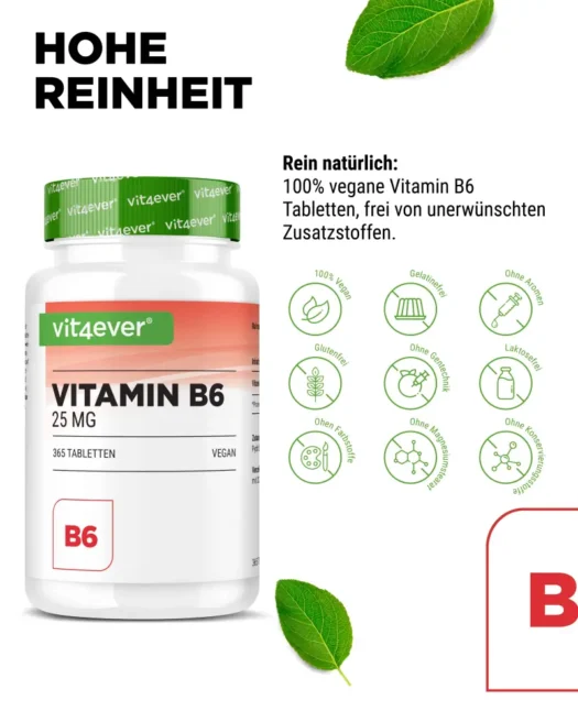 Vit4ever <br>Vitamine B6 - 365 Comprimés – Image 4