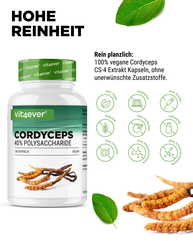 Vit4ever Cordyceps Intenso Extract – 180 capsules – zuiverheid & eigenschappen