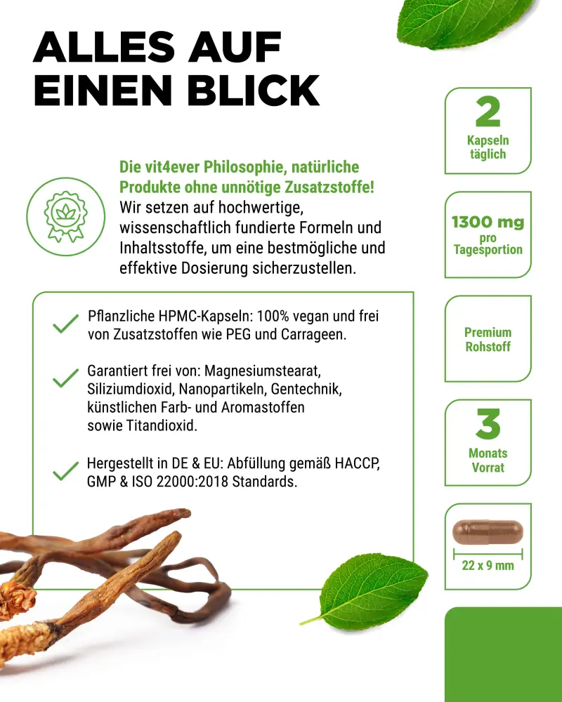 Vit4ever Cordyceps Intenso Extract – 180 capsules – productinformatie