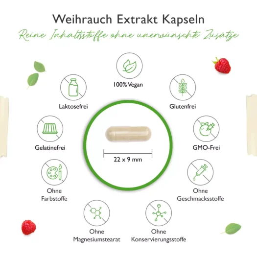 Vit4ever <br>Frankincense extract - various quantities - Image 3