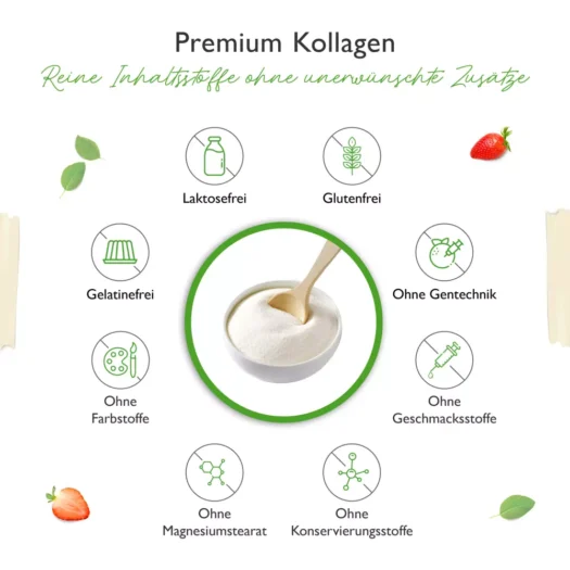 Vit4ever <br>Collagen - 500 g - Image 5