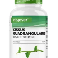 Vit4ever Extrait de Cissus Quadrangularis – 180 gélules – face avant