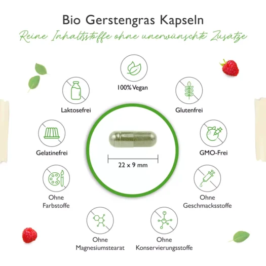 Vit4ever <br>Bio Gerstengras - 365 Kapseln – Bild 3
