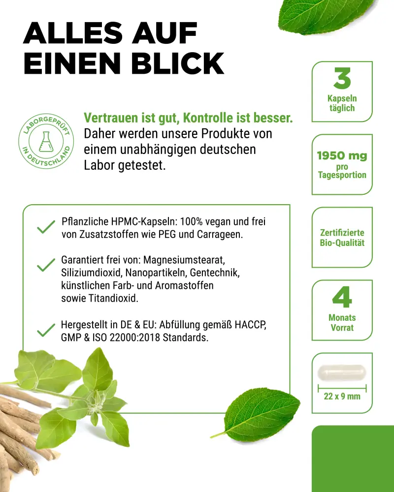 Vit4ever Organic Ashwagandha – 365 capsules – product information