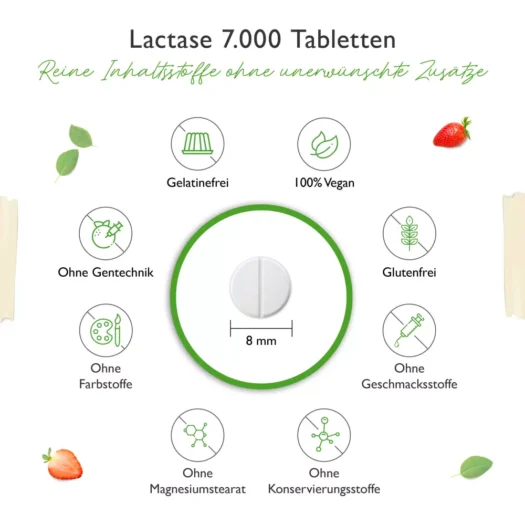 Vit4ever <br>Lactase 7000 direct - 365 Tabletten – Bild 4