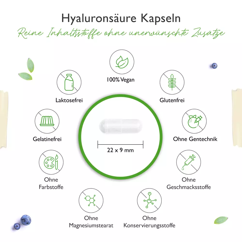 Vit4ever Acido ialuronico – 180 capsule – purezza & proprietà